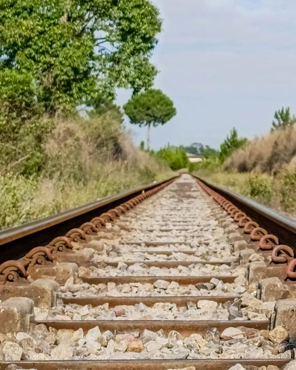 La ligne TCE - Madagascar