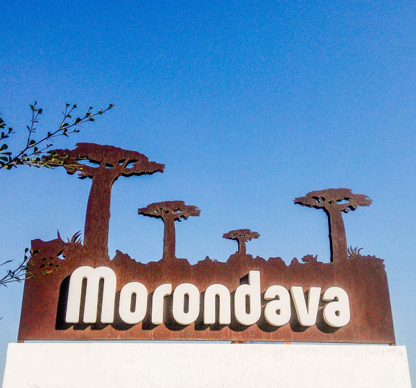 Morondava, pays des baobabs
