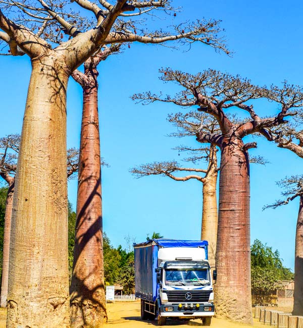 Variete daventures avec Madagascar Circuits Tours