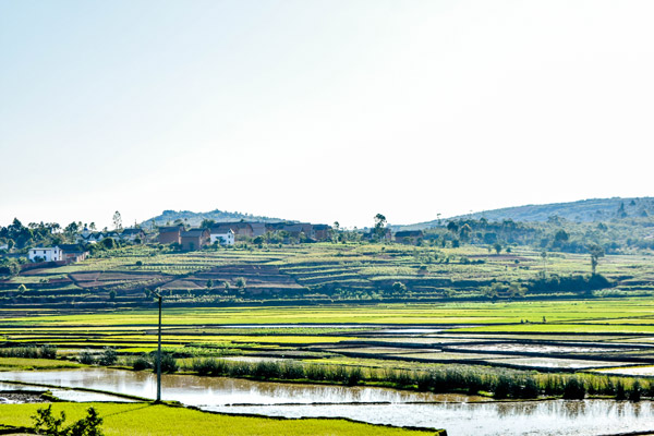 Excursion à Ambositra à travers les rizières verdoyantes.