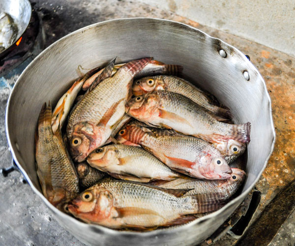 Excursion a Ampefy et saveurs de poissons frais
