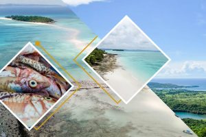 Excursion à Nosy Iranja