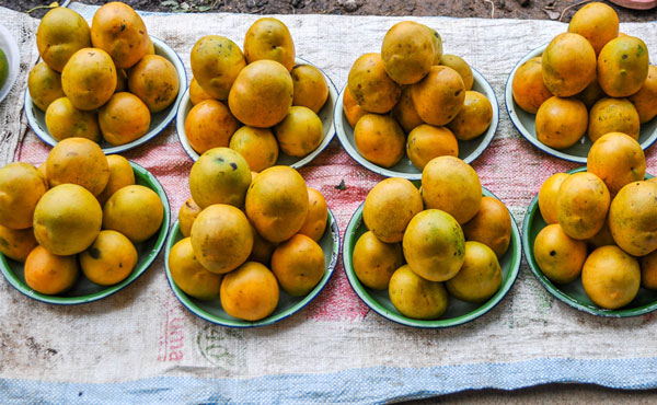 Fruits savoureux dAmpefy