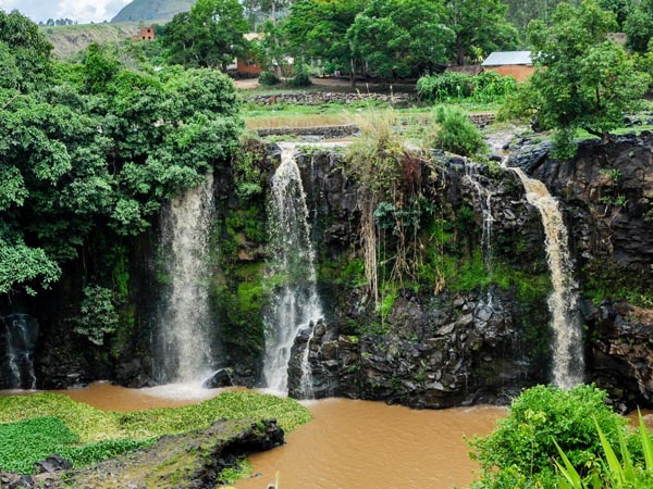 Immersion totale dans les tresors dAmpefy