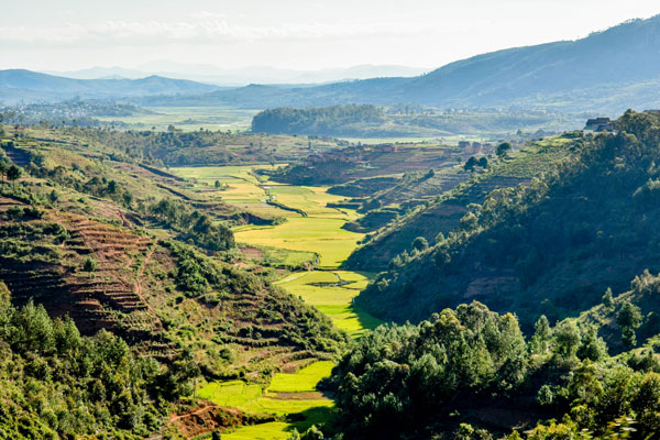 Paysages pittoresques lors d’une excursion à Ambositra.