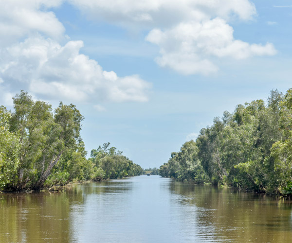 Croisière en pirogue sur le Canal des Pangalanes