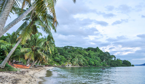 Immersion dans la forêt luxuriante de Nosy Komba en excursion