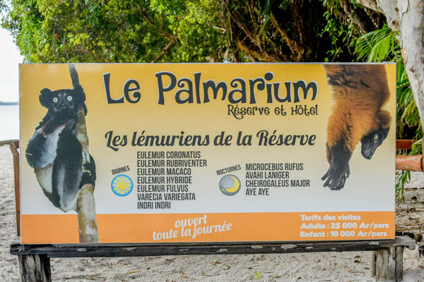 Visite de la réserve privée de Palmarium sur l’Ankanin’ny Nofy
