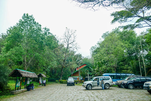 Visite du parc national d’Andasibe