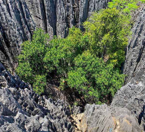Pics de calcaire spectaculaires du Tsingy de Bemaraha en excursion