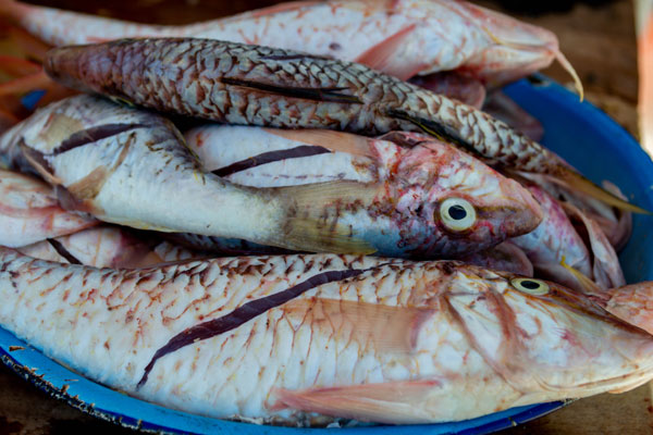 Saveurs de poissons au cœur d’une excursion culinaire à Madagascar