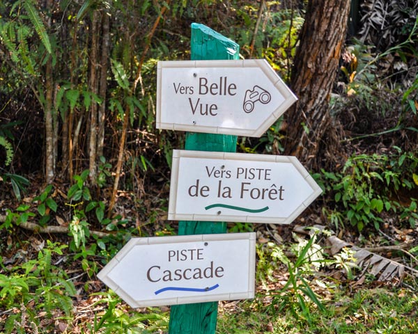 Aventure authentique en excursion dans le parc Ivoloina