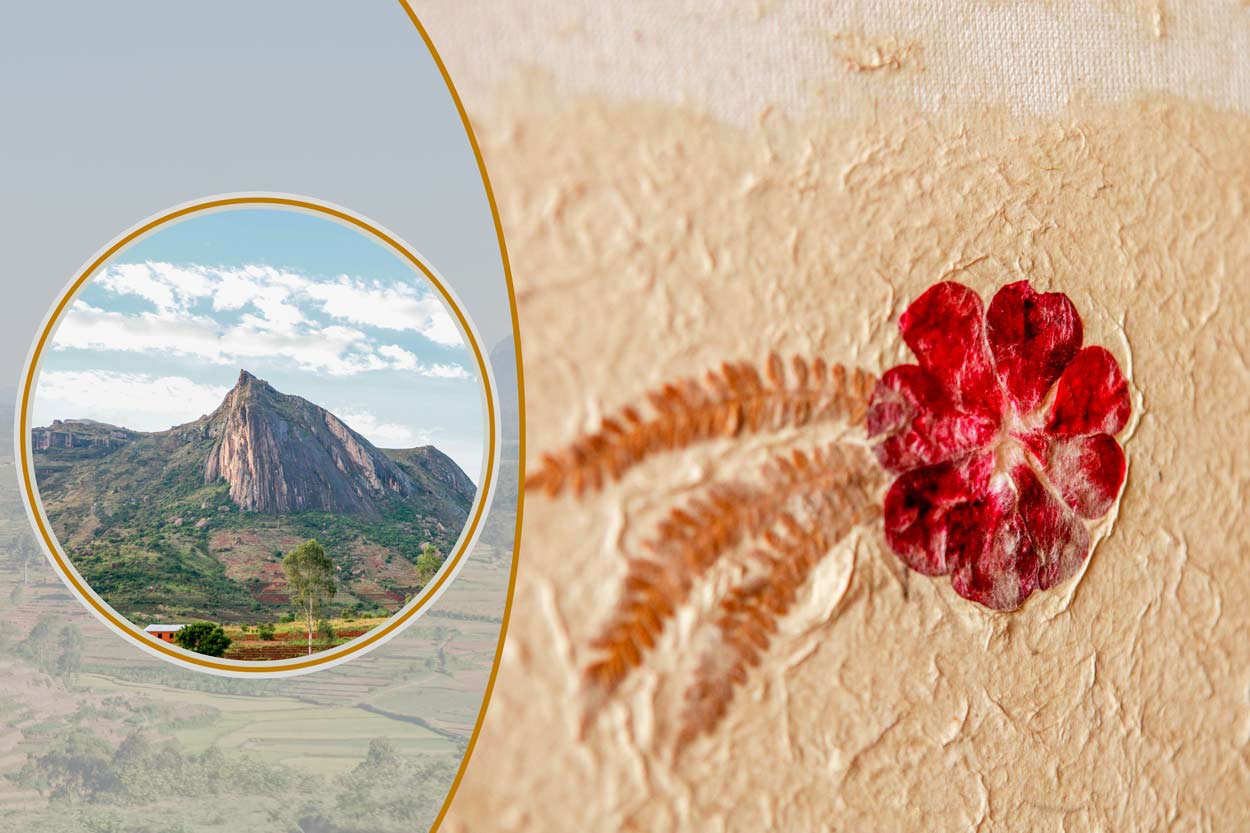 Madagascar Circuits Tours Excursion à Ambalavao