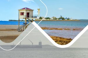 Excursion à Majunga