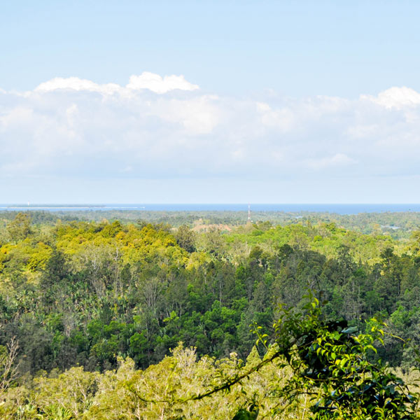 Excursion dans le parc Ivoloina avec point de vue panoramique