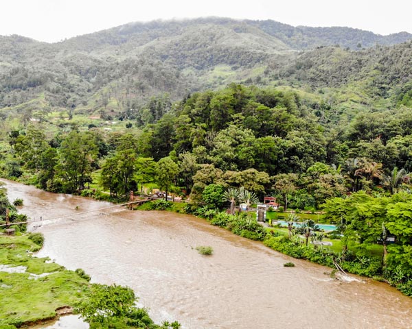Foret pluviale dense du Parc national de Ranomafana
