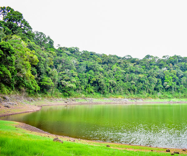 Immersion dans la biodiversité de la Montagne d'Ambre