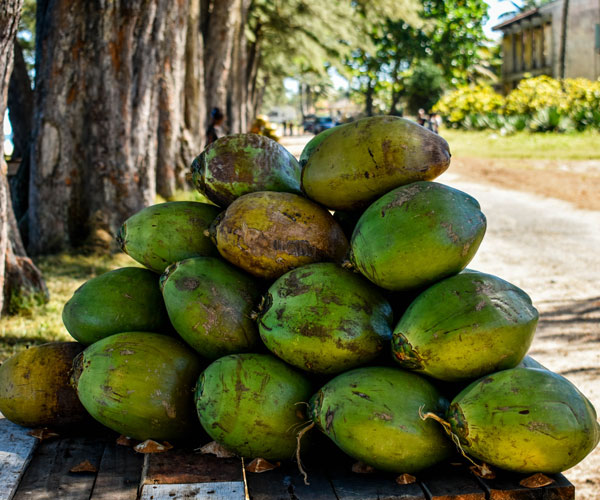 Saveur naturelle de coco fraîche de Madagascar