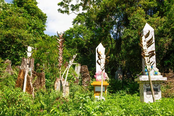 Immersion dans la culture Antandroy