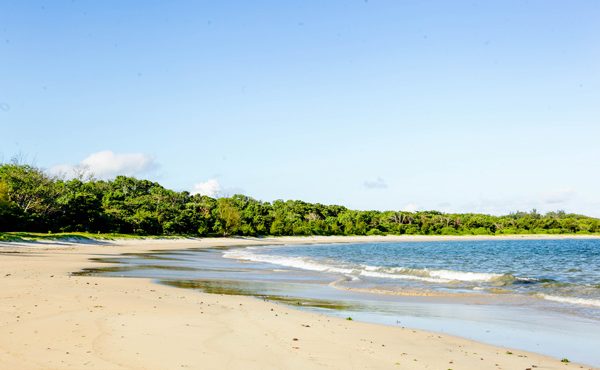 Après un long voyage rien de tel que sentir le vent de la mer