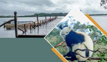 Circuit EST de Madagascar saison 2026