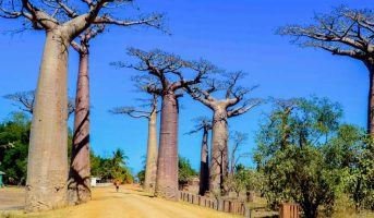 Circuit OUEST avec descente de la Tsiribihina