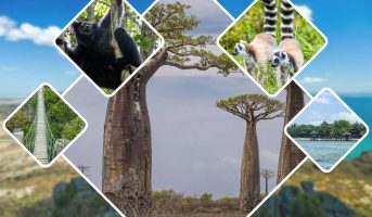 Circuit de découverte de Madagascar