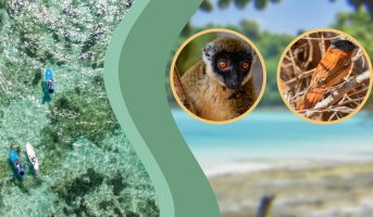 Excursion à Nosy Ankao