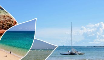 Excursion à Nosy Tsarabanjina