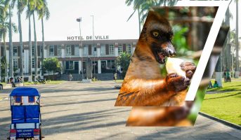 Excursion à Tamatave