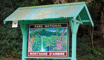 La montagne d'Ambre en une journée