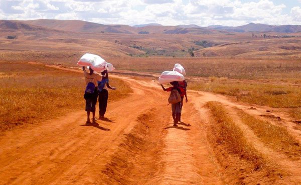 Une vue imprenable de l'horizon prise pendant un Circuit 4x4 à Madagascar